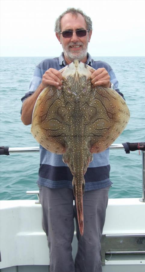 12 lb Undulate Ray by Kevin Clark