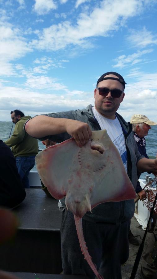 9 lb 1 oz Thornback Ray by Stu