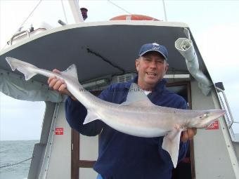 11 lb Starry Smooth-hound by barry