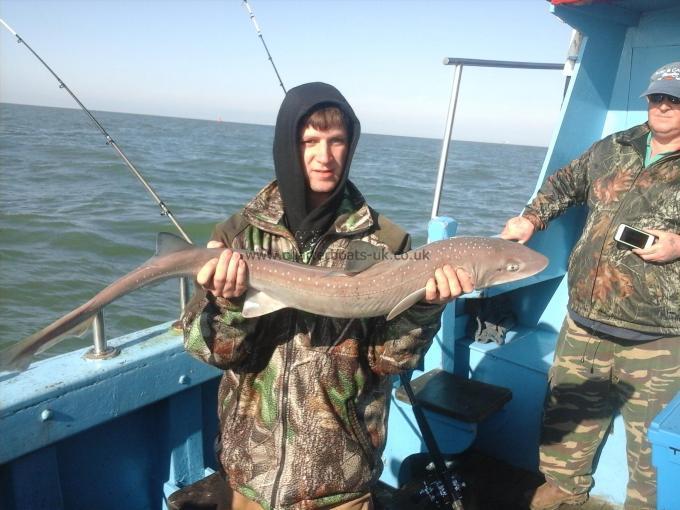 10 lb Starry Smooth-hound by Lee