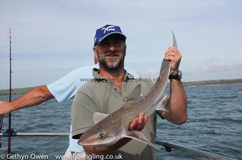 5 lb Starry Smooth-hound by Terry