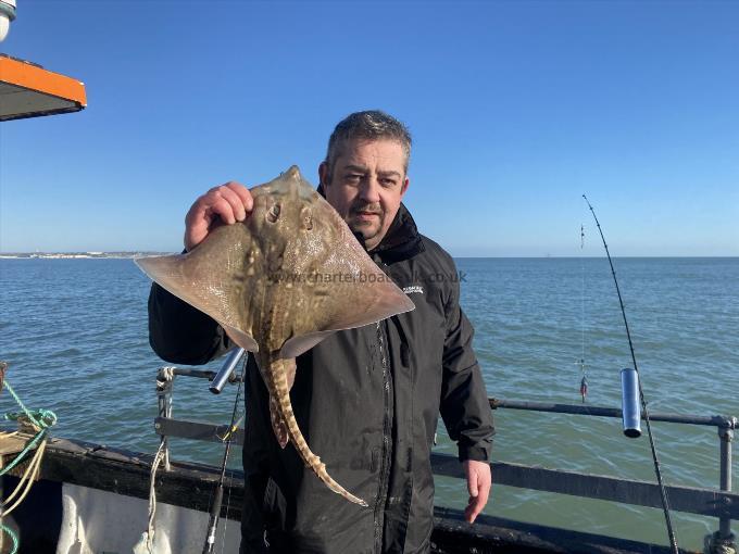 4 lb Thornback Ray by Unknown