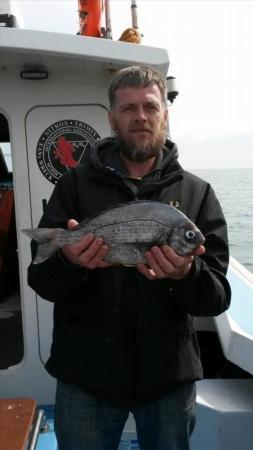 2 lb 4 oz Black Sea Bream by Unknown