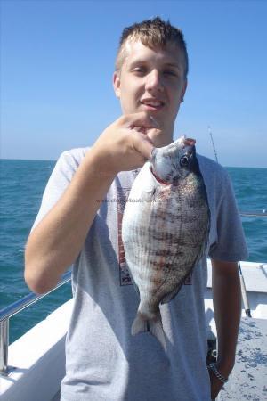 2 lb Black Sea Bream by Darren