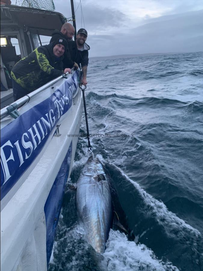 2 lb Bluefin Tuna by Craig