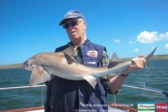 14 lb Starry Smooth-hound by Peter