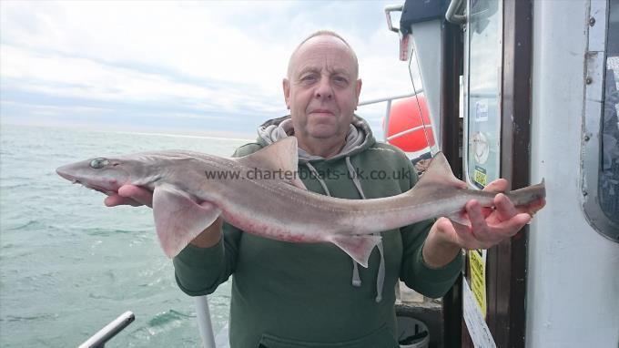 6 lb 2 oz Starry Smooth-hound by Dennis from Essex
