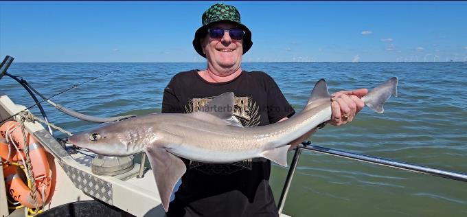 10 lb Smooth-hound by Pete