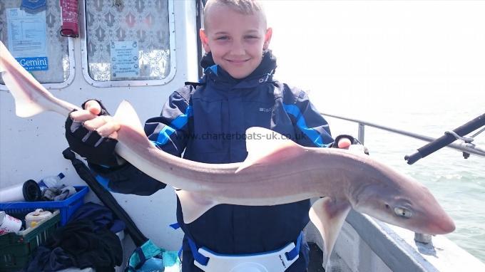 7 lb 6 oz Starry Smooth-hound by Morgan