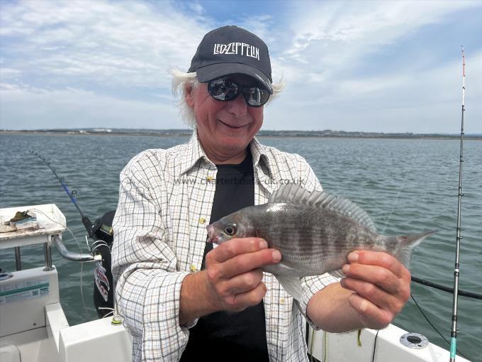 1 lb Black Sea Bream by Matt