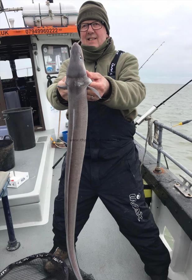 10 lb Conger Eel by Unknown