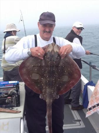 14 lb 12 oz Undulate Ray by Terry