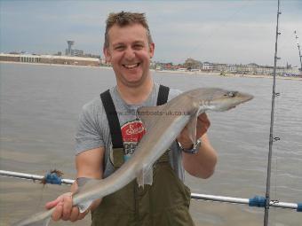 1 oz Starry Smooth-hound by Jason Amies Gorleston Tackle