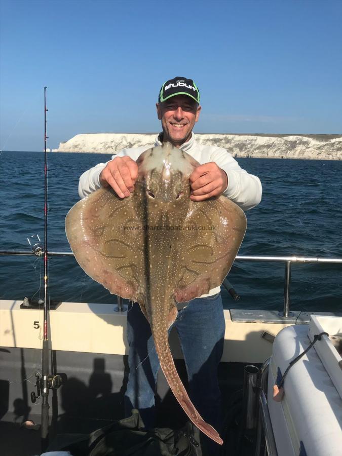 16 lb 4 oz Undulate Ray by Unknown