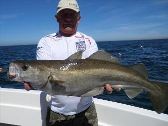 13 lb 5 oz Pollock by Unknown