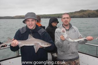 4 lb Starry Smooth-hound by Kenny and Dave