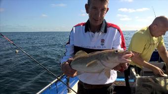 6 lb Cod by Stephen Wake