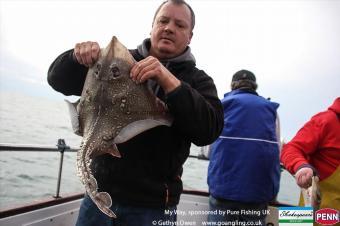 7 lb Thornback Ray by Peter