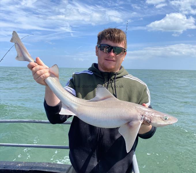 8 lb Smooth-hound (Common) by Unknown