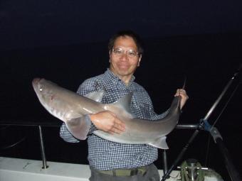 23 lb 5 oz Smooth-hound (Common) by hiroshi