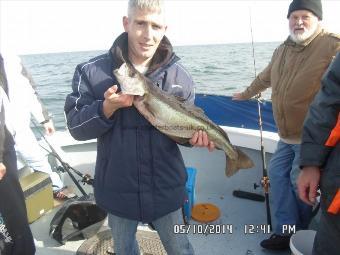 6 lb 3 oz Pollock by Micheal, Sunderland,