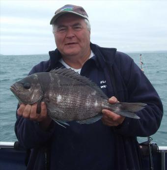 4 lb 4 oz Black Sea Bream by Malcolm Hiscock