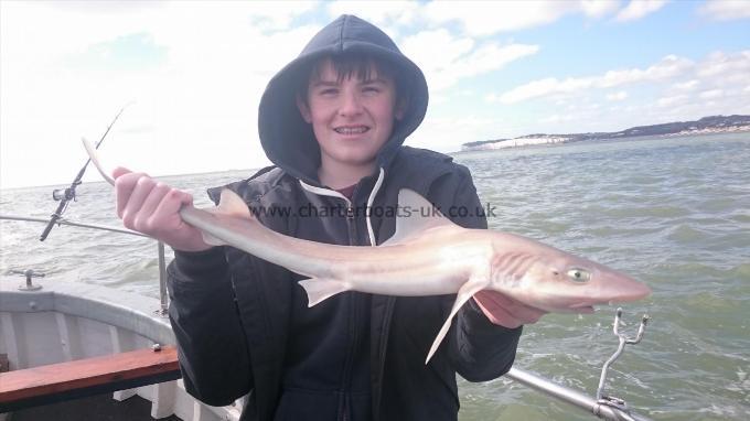 5 lb 2 oz Smooth-hound (Common) by Dan from Ramsgate