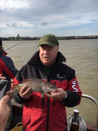 3 lb 8 oz Cod by Fred