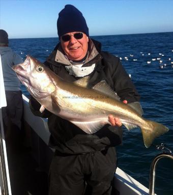 12 lb 10 oz Pollock by Unknown