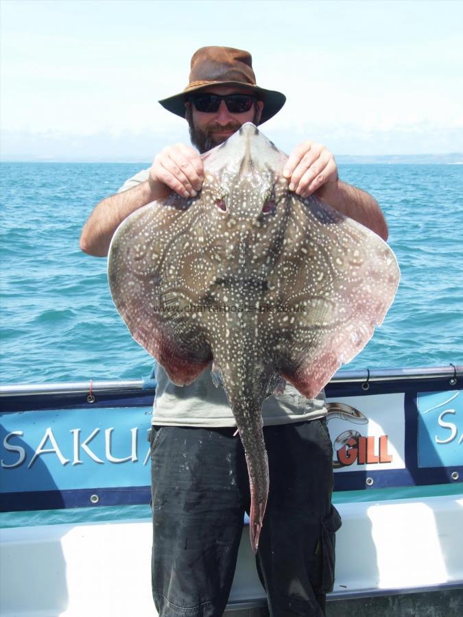 15 lb Undulate Ray by Peter Minns