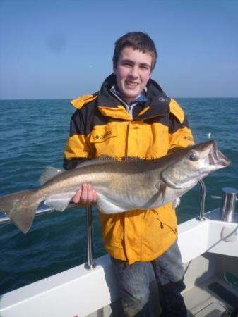 15 lb Pollock by Gregor Timms