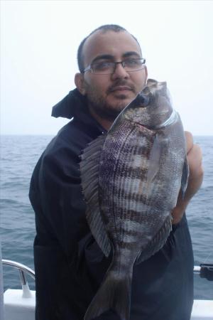 2 lb Black Sea Bream by Mas