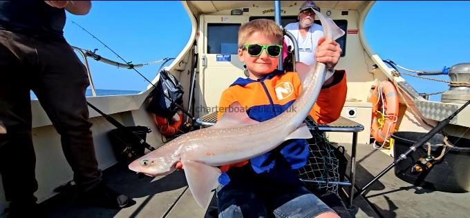 7 lb Starry Smooth-hound by Kai