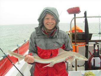 4 lb 5 oz Smooth-hound (Common) by Joel Smith