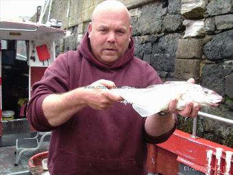 3 lb Haddock by skipper dom