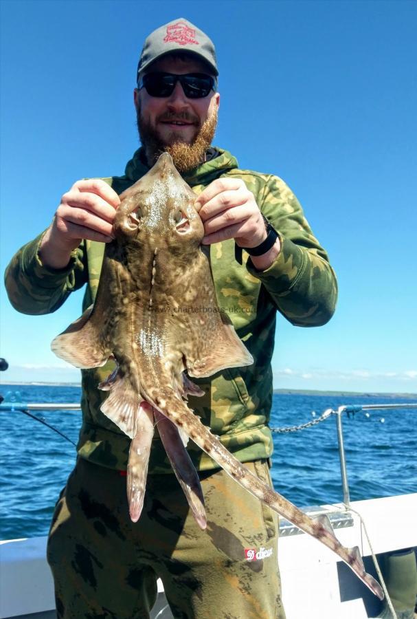 5 lb Thornback Ray by Unknown