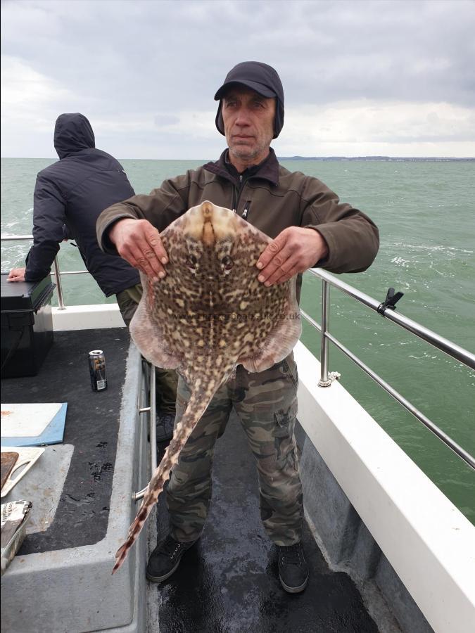 10 lb Thornback Ray by Bob Marshall