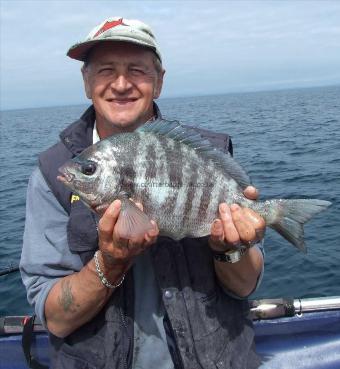 3 lb 9 oz Black Sea Bream by Andy Collings