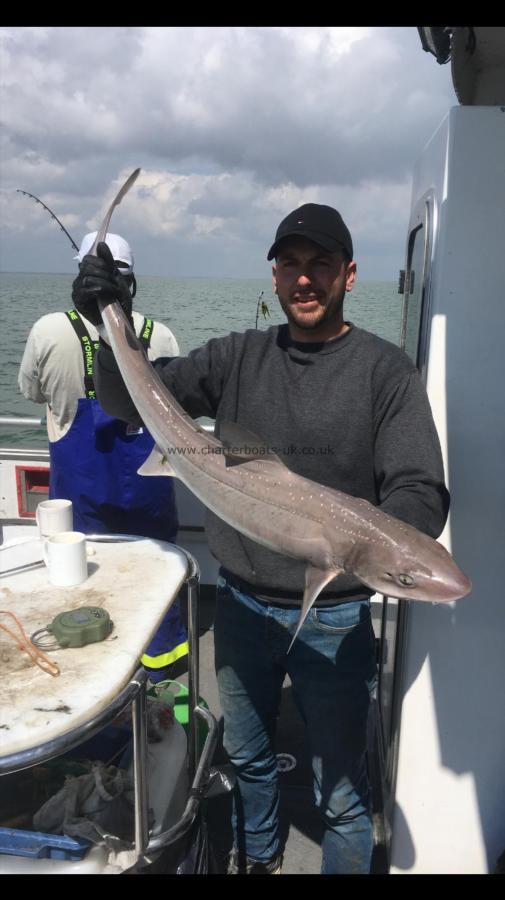 11 lb 5 oz Starry Smooth-hound by Unknown