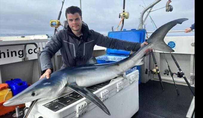 70 lb Blue Shark by Unknown