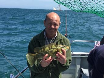 3 lb Ballan Wrasse by Pete Evans