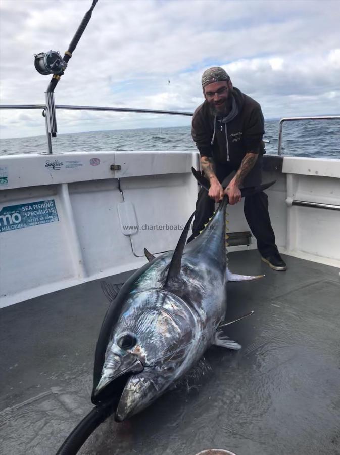 230 lb Bluefin Tuna by Unknown