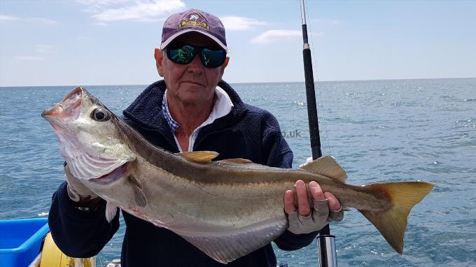 7 lb 3 oz Pollock by Barry