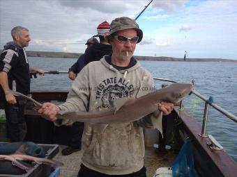 6 lb 8 oz Smooth-hound (Common) by Perfect Pete