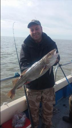 7 lb 12 oz Cod by tarpon bob