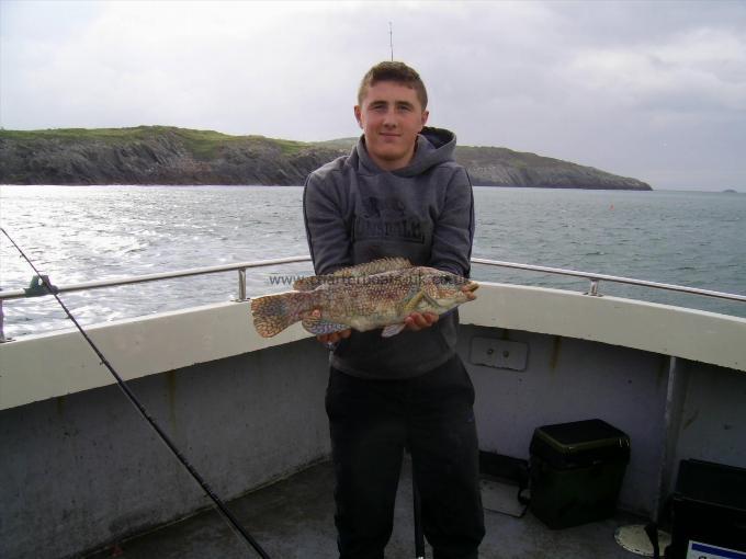 4 lb 4 oz Ballan Wrasse by Carwyn