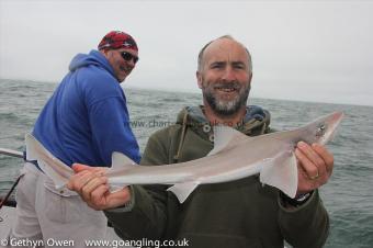 6 lb Starry Smooth-hound by Terry