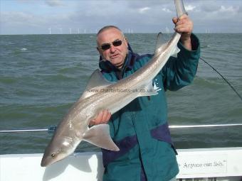 16 lb Starry Smooth-hound by Unknown