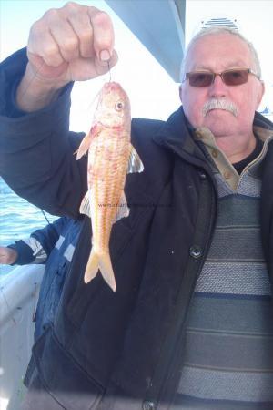 8 oz Red Mullet by Peter