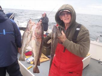 4 lb Cod by Ken Whibley from Kent.